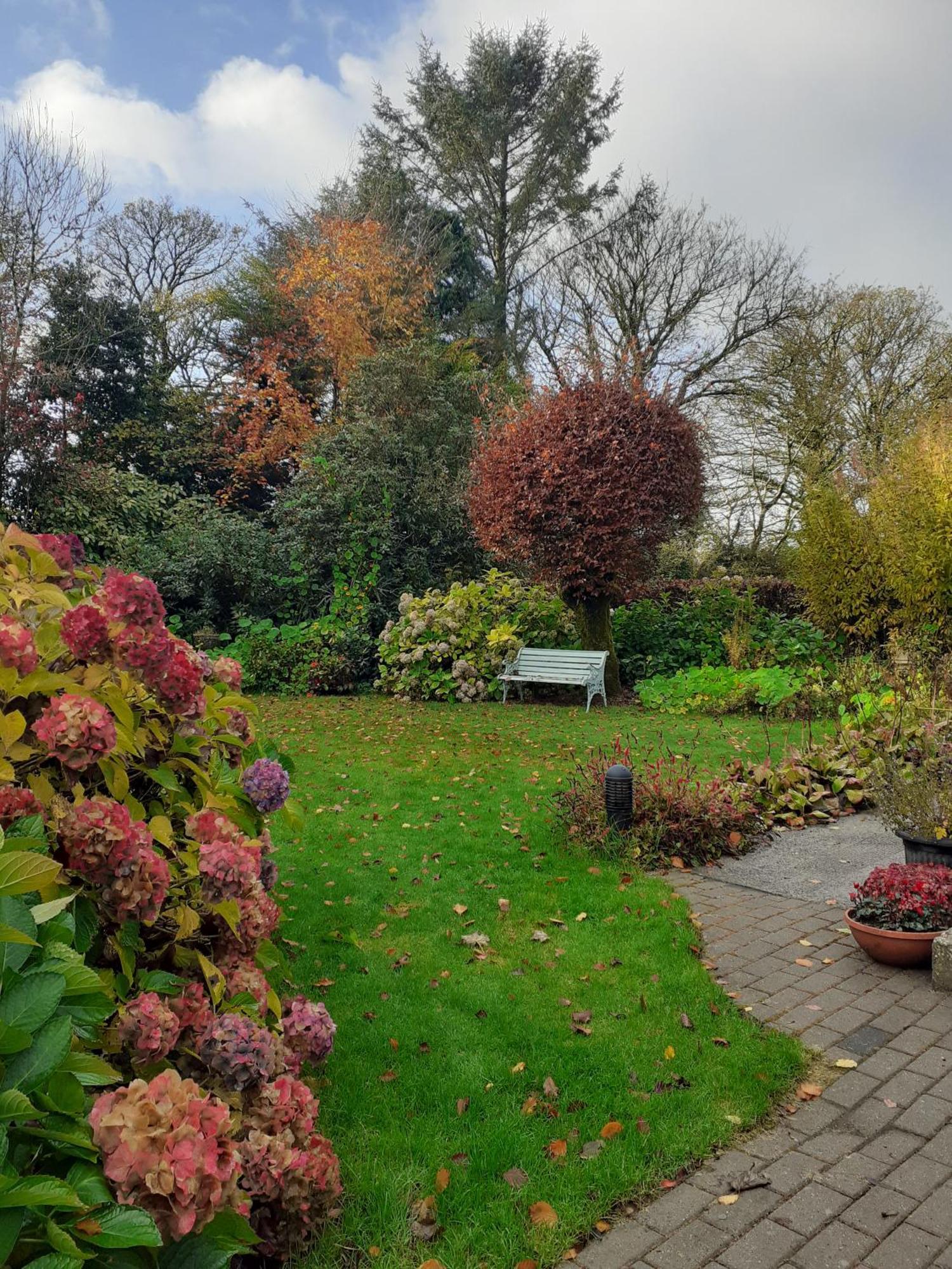 Conways B&B Claremorris Zewnętrze zdjęcie
