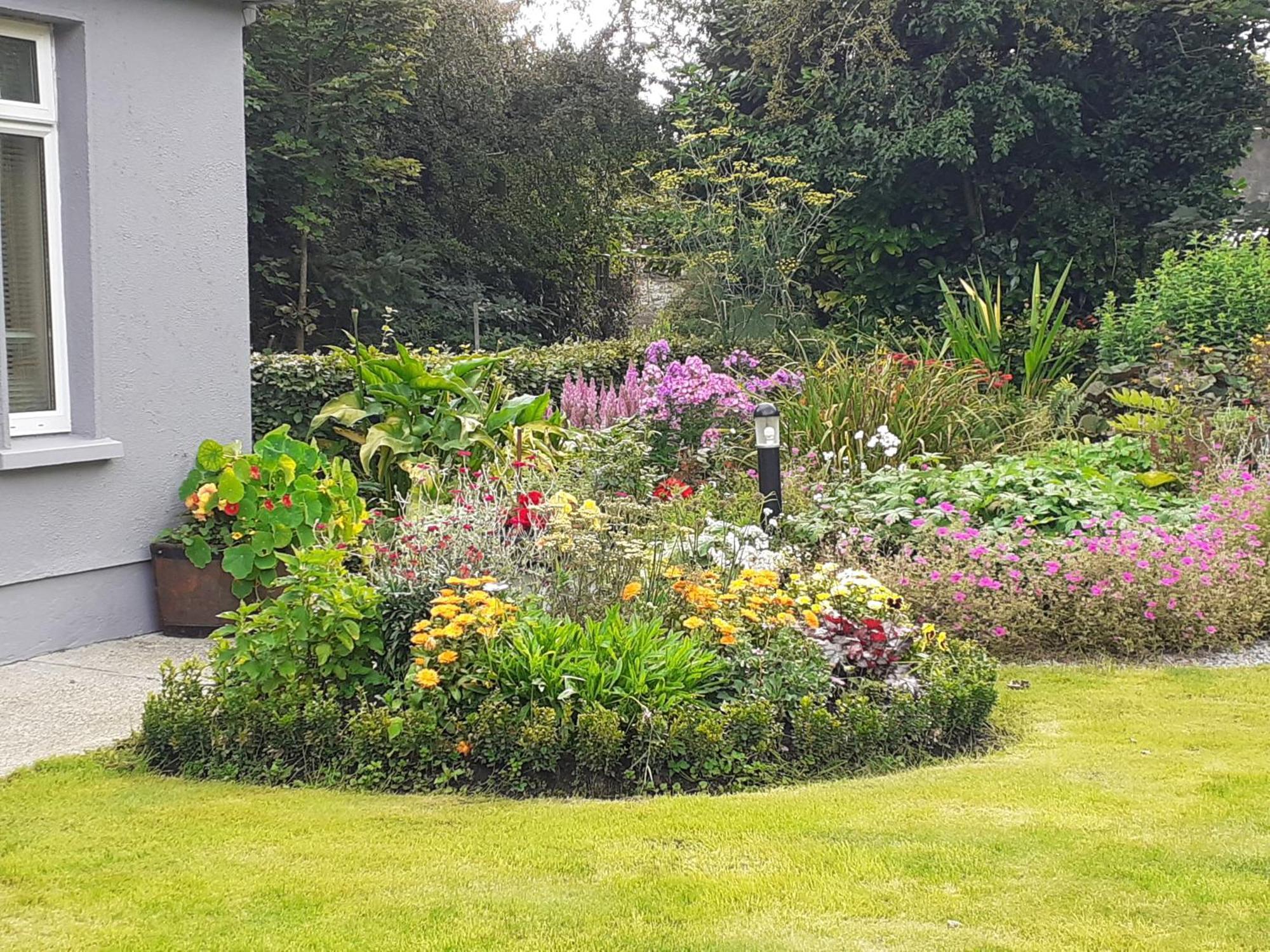 Conways B&B Claremorris Zewnętrze zdjęcie